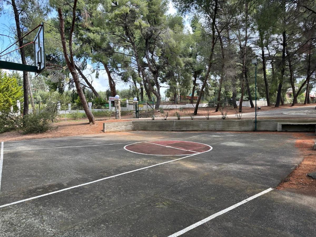 Σκιουράκια,σπίτι με θέα Διαμέρισμα Μεταμόρφωση Εξωτερικό φωτογραφία