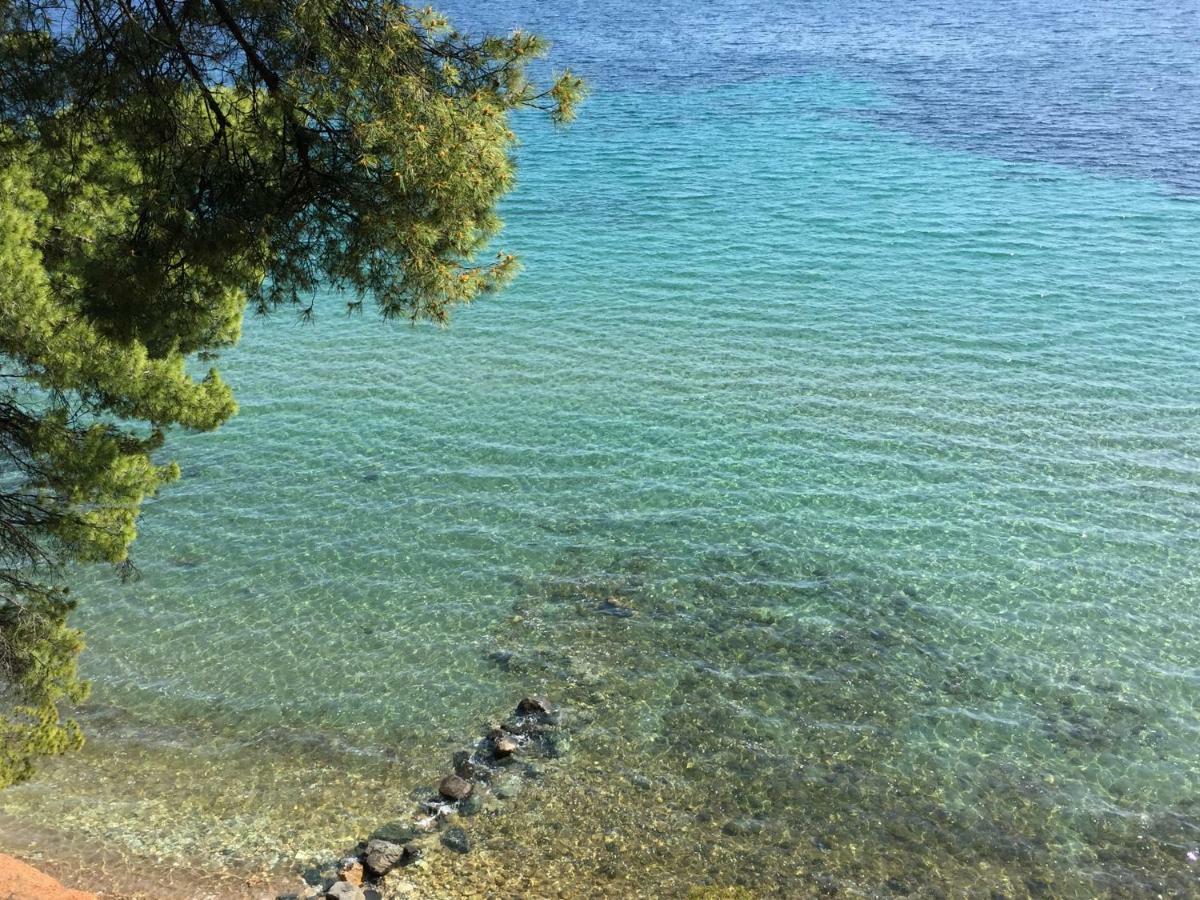 Σκιουράκια,σπίτι με θέα Διαμέρισμα Μεταμόρφωση Εξωτερικό φωτογραφία