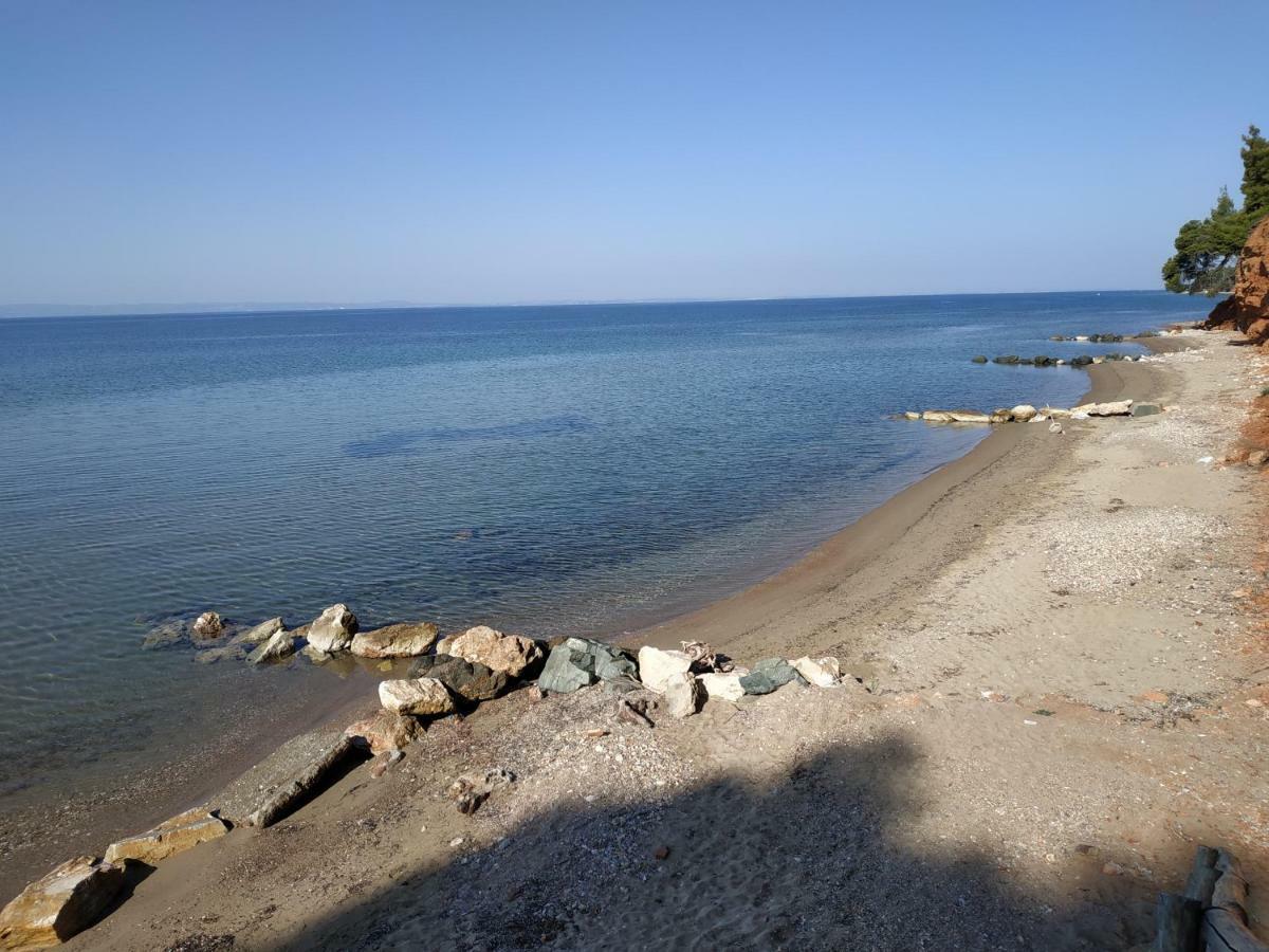 Σκιουράκια,σπίτι με θέα Διαμέρισμα Μεταμόρφωση Εξωτερικό φωτογραφία