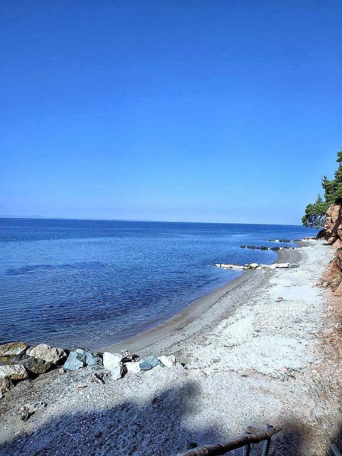 Σκιουράκια,σπίτι με θέα Διαμέρισμα Μεταμόρφωση Εξωτερικό φωτογραφία